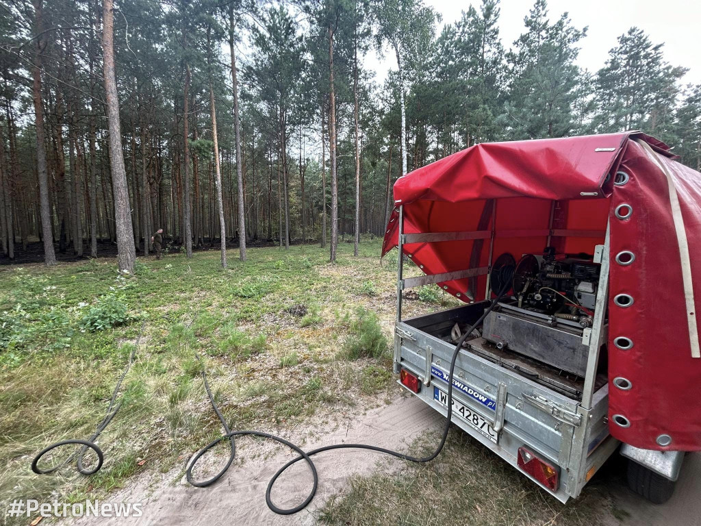 Płoną lasy wokół Płocka. Leśnicy apelują