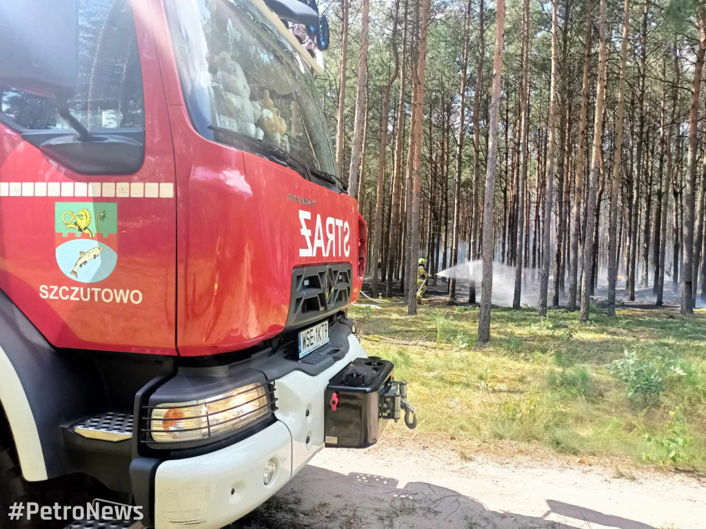 Płoną lasy wokół Płocka. Leśnicy apelują