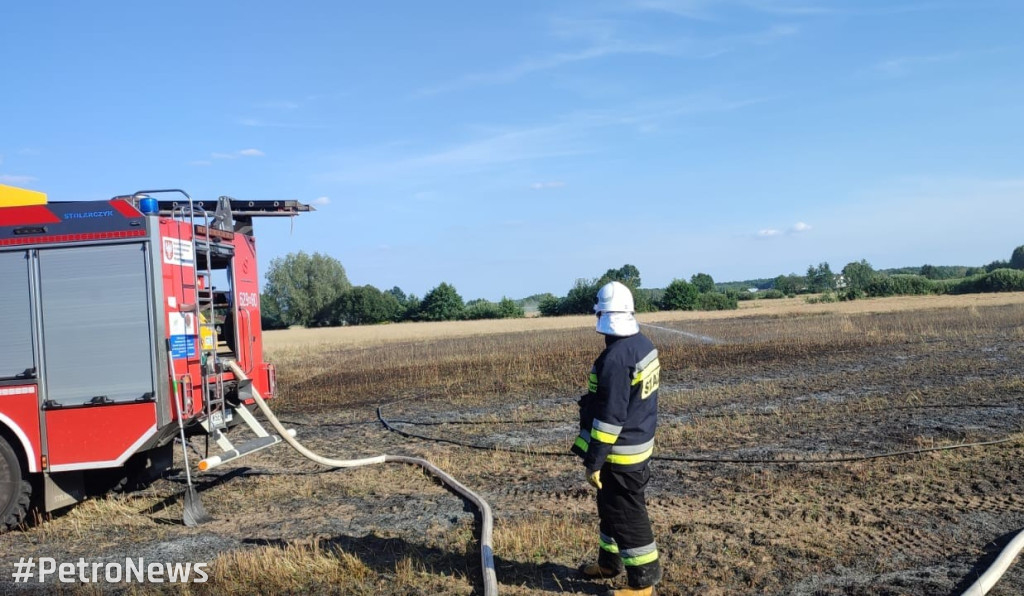 Płoną lasy wokół Płocka. Leśnicy apelują