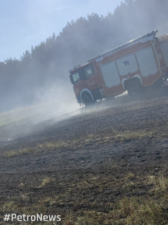 Płoną lasy wokół Płocka. Leśnicy apelują