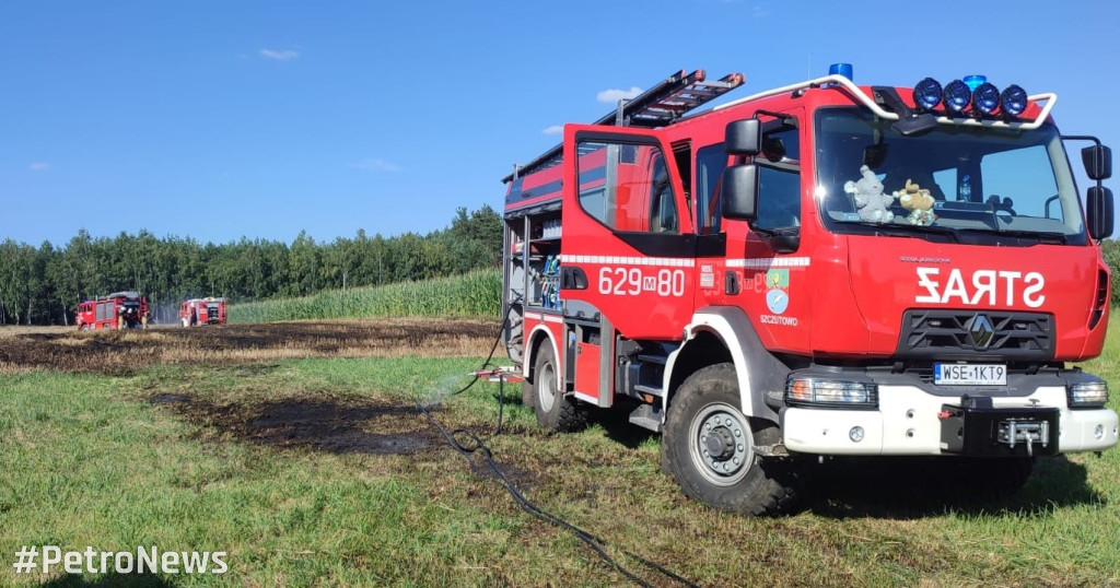 Płoną lasy wokół Płocka. Leśnicy apelują