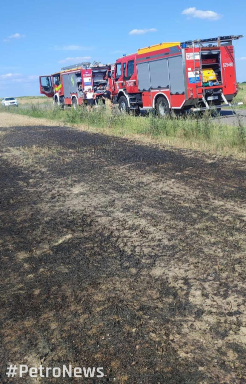 Płoną lasy wokół Płocka. Leśnicy apelują