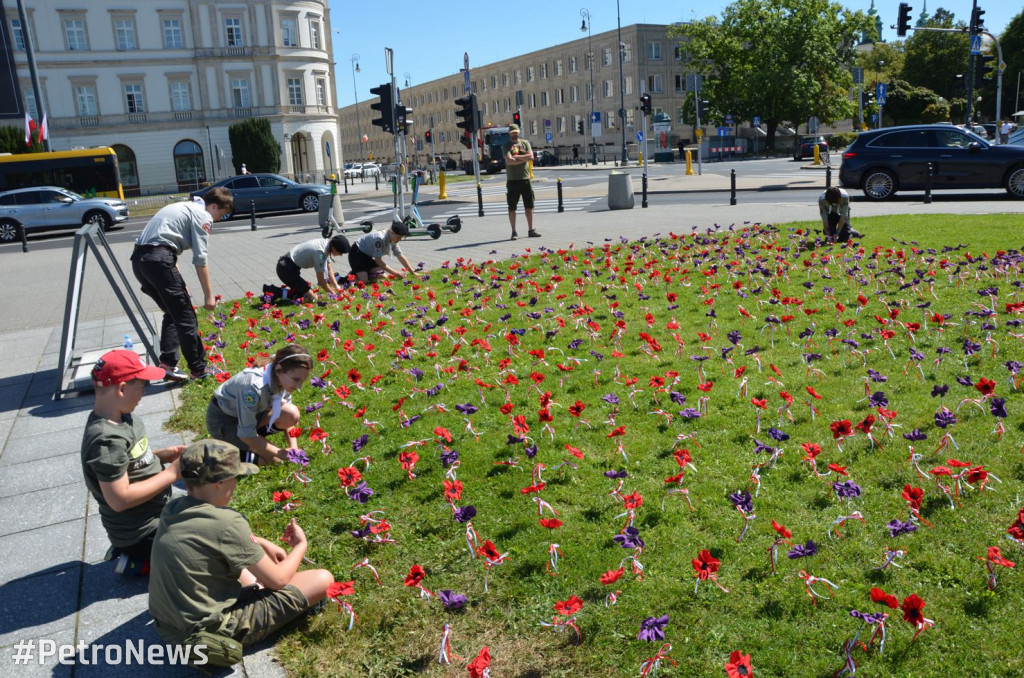 Czerwone maki nie tylko na Monte Cassino