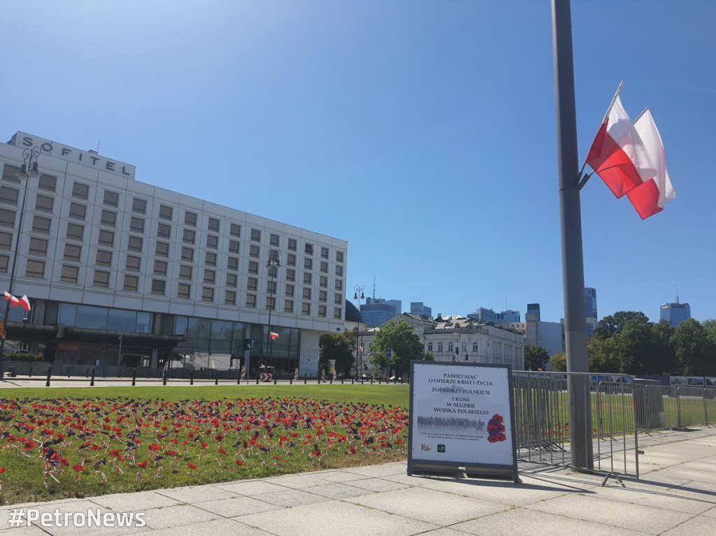 Czerwone maki nie tylko na Monte Cassino