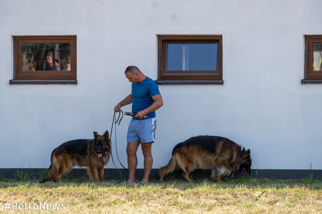 49. Mazowiecka Wystawa Psów Rasowych