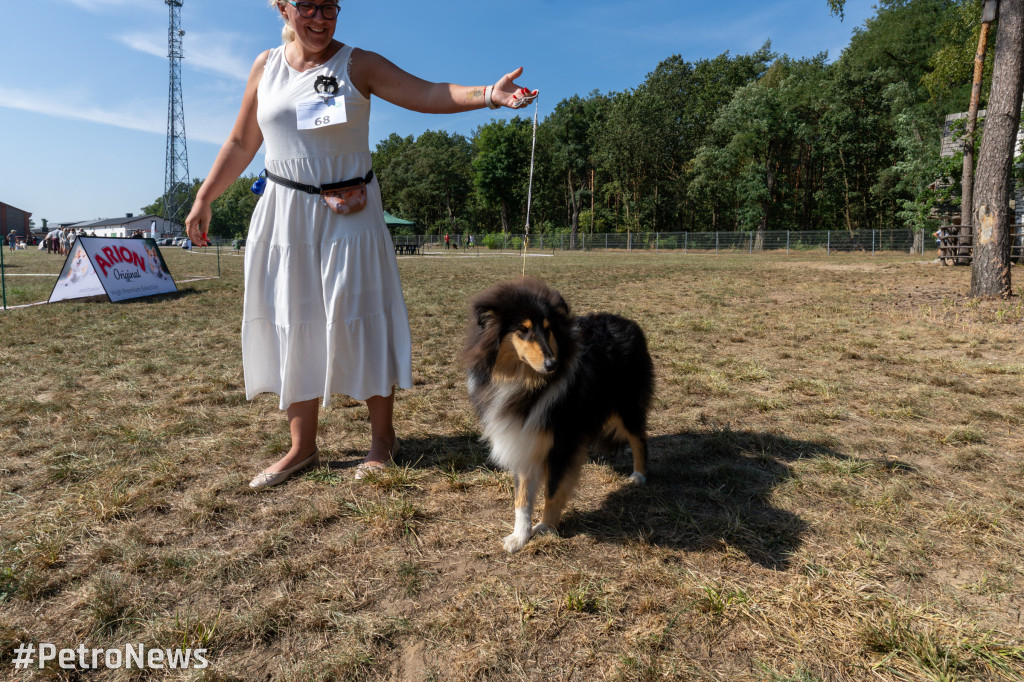 49. Mazowiecka Wystawa Psów Rasowych