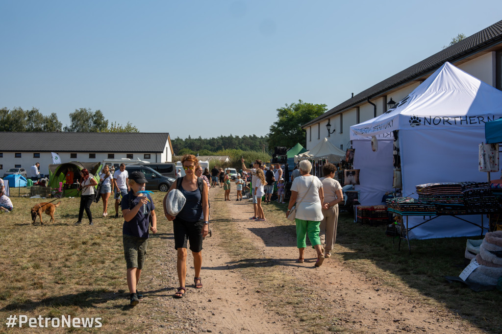 49. Mazowiecka Wystawa Psów Rasowych