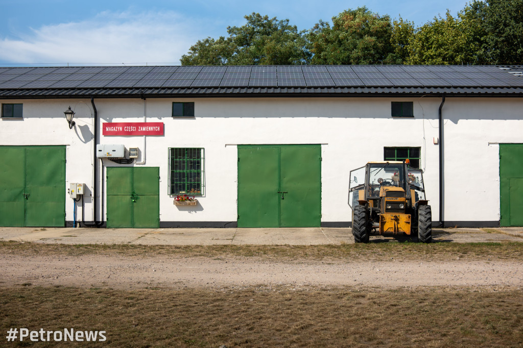 49. Mazowiecka Wystawa Psów Rasowych