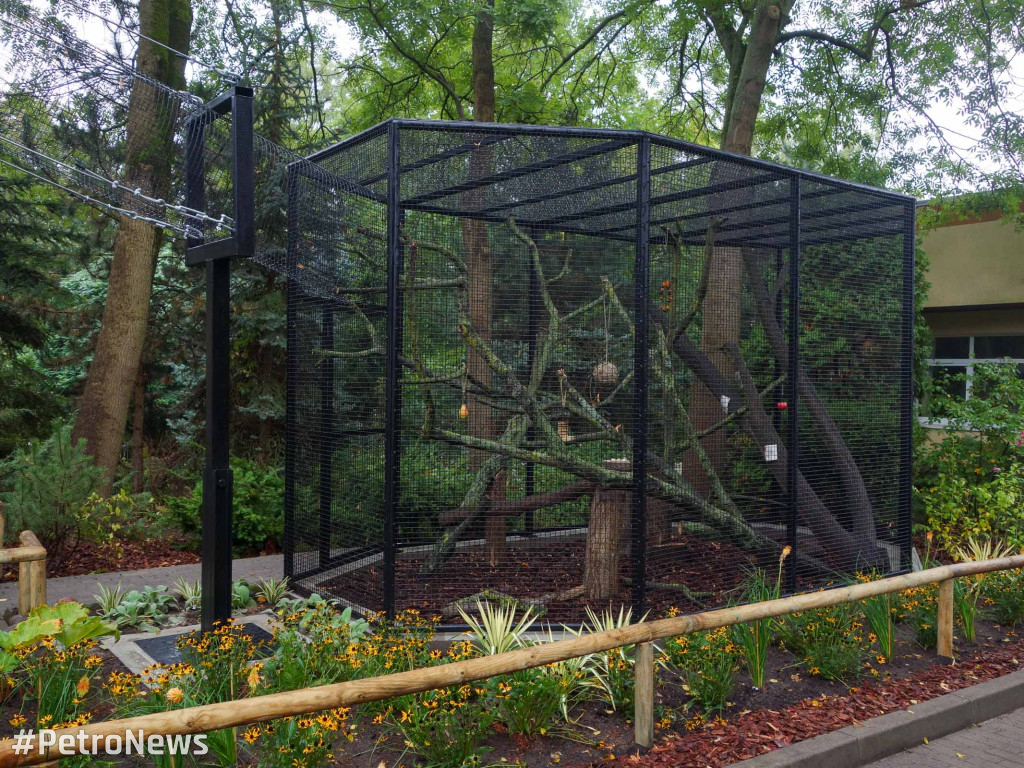 Nowe zwierzęta pojawiły się w płockim ZOO