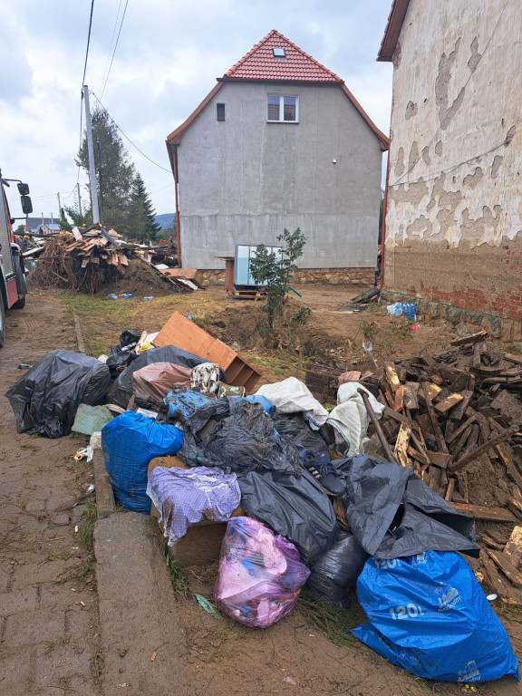 Starosta płocki na terenach po Wielkiej Wodzie