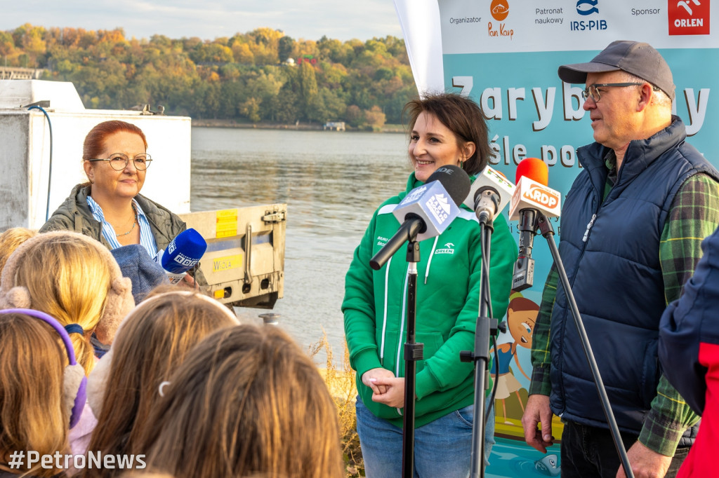 Zarybianie Wisły w Płocku