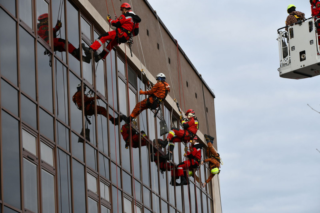 Alpiniści i strażacy zjechali z dachu do dzieci