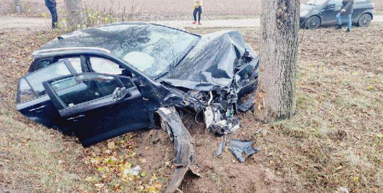 fot. KMP w Płocku