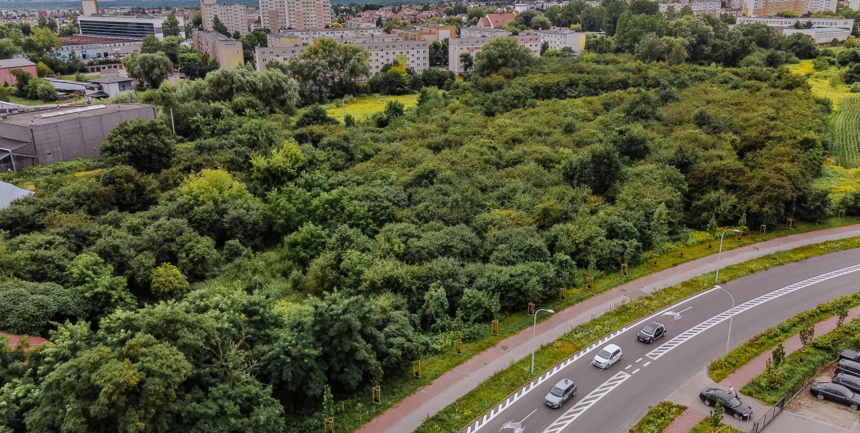 Fot. Urząd Miasta Płocka