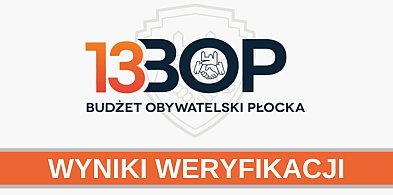 Budżet Obywatelski Płocka: Na które projekty można głosować?-391821