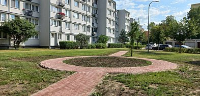 Nowy duży park i zieleń między blokami w Płocku-392284