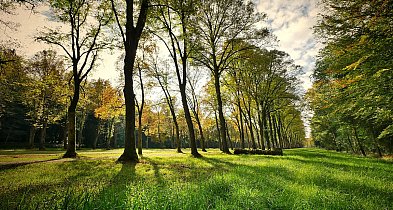 Są pieniądze na park w Płocku czy remont podziurawionej drogi wylotowej-392969