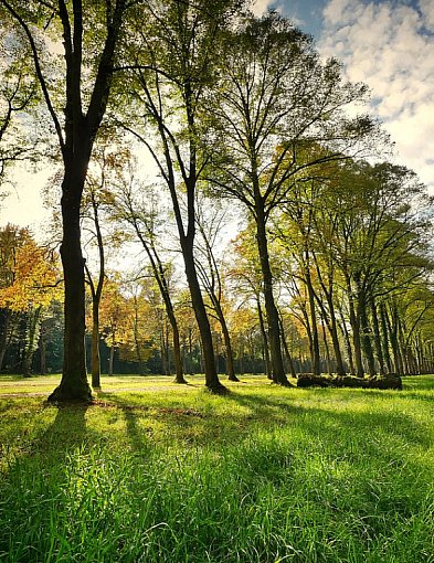 W Płocku powstanie 9 parków miejskich. Miasto otrzymało blisko 4 mln zł-393395