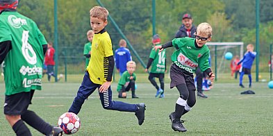 Młodzi piłkarze zawalczyli w patriotycznym turnieju-393543