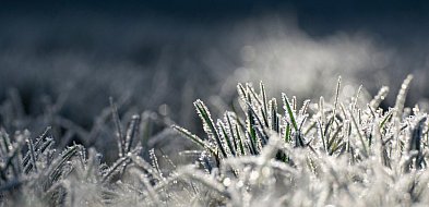 Nadchodzi przymrozek. Będzie niebezpiecznie ślisko-397682