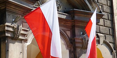 Majówka w Płocku. Co zaplanowano?-397933