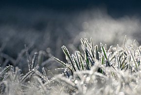 Temperatura w regionie płockim drastycznie spadnie. Jest ostrzeżenie-398058