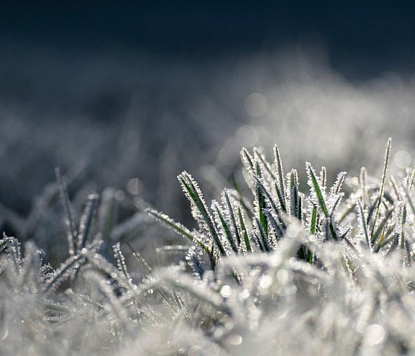 Temperatura w regionie płockim drastycznie spadnie. Jest ostrzeżenie-398058