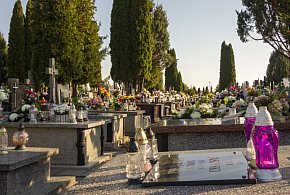 Płocczanie kradli wkłady i kwiaty na cmentarzu-398185