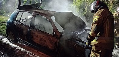 Auto kompletnie spłonęło. Pożar wybuchł w nocy [ZDJĘCIA]-398231
