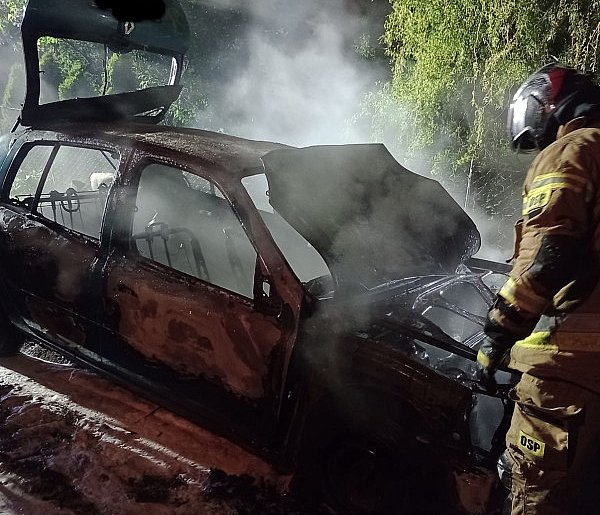 Auto kompletnie spłonęło. Pożar wybuchł w nocy [ZDJĘCIA]-398231