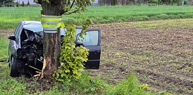 Tragiczny wypadek pod Płockiem. Nie żyje kobieta [ZDJĘCIA]-398288