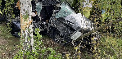 Auto roztrzaskane o drzewo. Jedna osoba w szpitalu. Droga jest zablokowana-398339