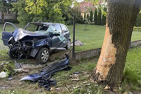 Dwie osoby w szpitalu po zderzeniu auta z drzewem. Droga zablokowana-398363