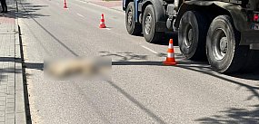 17-latek bez prawa jazdy uderzył w psa