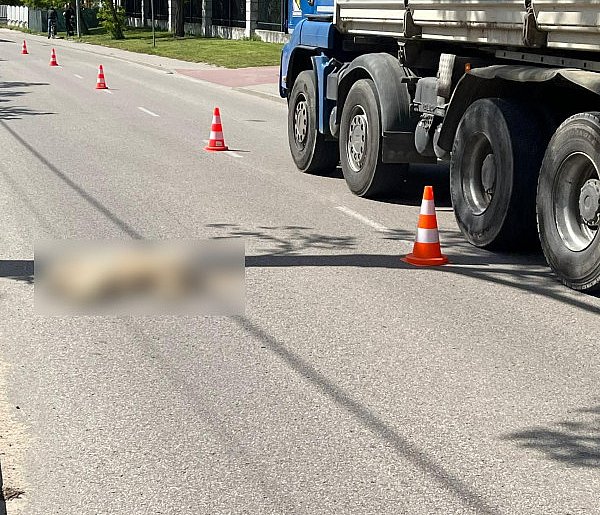 17-latek bez prawa jazdy uderzył w psa. Motocyklista w szpitalu [ZDJĘCIA]-398432