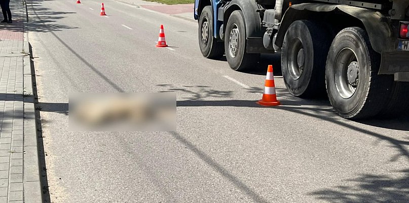 17-latek bez prawa jazdy uderzył w psa. Motocyklista w szpitalu [ZDJĘCIA] - 398432