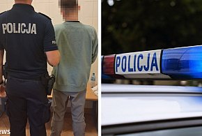 Płocczanin z 17 podstawami poszukiwawczymi. Zatrzymano go za kradzież-398494