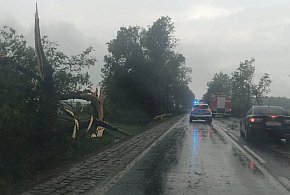 Trudna sytuacja po nawałnicy. Mieszkańcy i policja apelują-398663