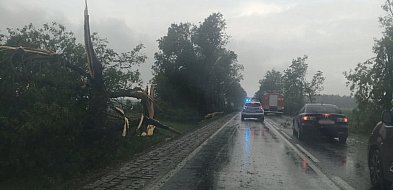Trudna sytuacja po nawałnicy. Mieszkańcy i policja apelują-398663