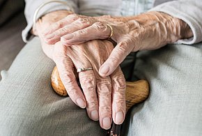 Nowa stawka najniższej emerytury. Rząd ujawnił kwotę-398793