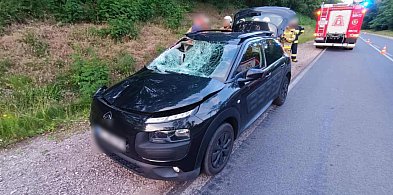 Zderzenie z łosiem pod Płockiem. Utrudnienia na DK62-398896