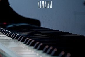 Recital utworów Vivaldiego, Mozarta, Schuberta i Moniuszki w Płocku-398913