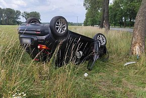 Uderzył w drzewo i dachował. Policja wyjaśnia, co stało się w Łącku-398919