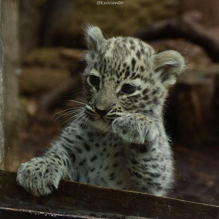 materiały prasowe ZOO Płock