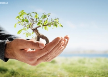 Masz stare baterie? Przynieś je na Stary Rynek