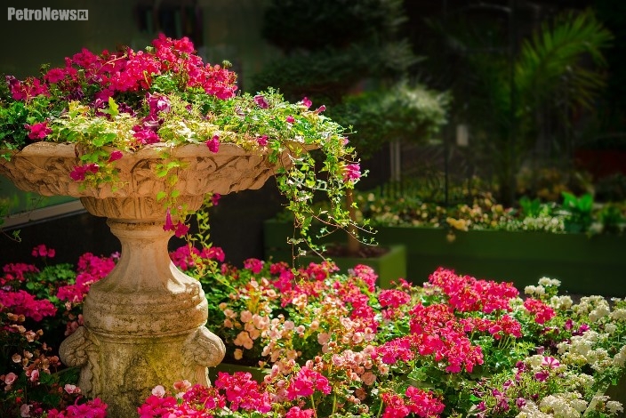 Weekend o metamorfozach domu i ogrodu w Mazovii