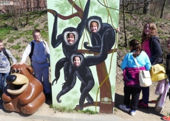 Podchody w ZOO – mali detektywi na tropie przygody