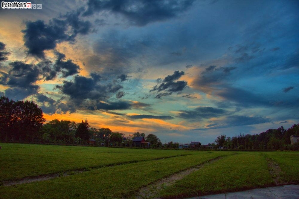 Okiem Robaka – Psy na zamku… i inne „dziwadła”