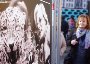 Niewidoczne serce zoo w Płockiej Galerii Sztuki