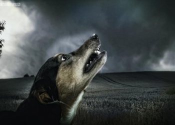 Jest wina, musi być kara – list czytelnika